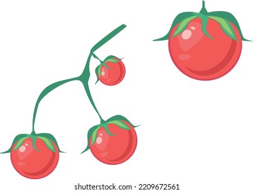 tomato vector illustration tomato cohesive flat icon tomato vegetable illustration professionally on white background

