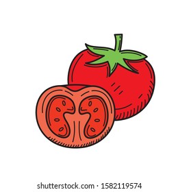 Tomato vector illustration with colored hand drawn style isolated on white background 