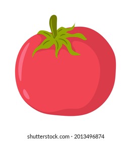 Tomato vector illustration, colored  hand drawn sketching style