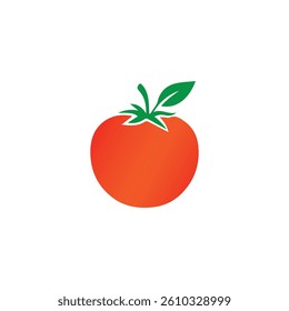  tomato vector illustration design and colour 
