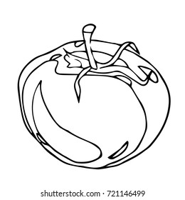 Tomato vector illustration. Doodle style. Design icon, print, logo, poster, symbol, decor, textile, paper