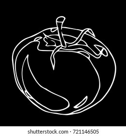 Tomato vector illustration. Doodle style. Design icon, print, logo, poster, symbol, decor, textile, paper