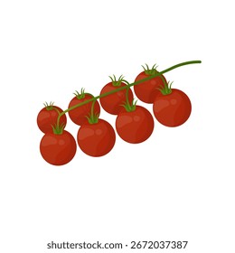 Ilustración vectorial de tomate en estilo plano detallado. Vegetal aislado, ingrediente de la comida para el menú italiano, diseños de la publicidad 