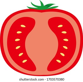 Tomato vector illustration, fresh vegetables