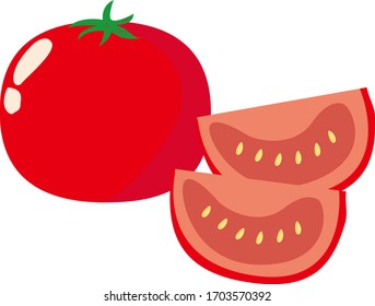 Tomato vector illustration, fresh vegetables