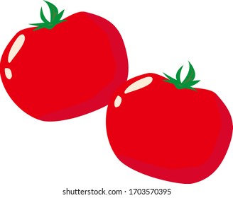 Tomato vector illustration, fresh vegetables