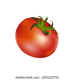 Ilustración vectorial de tomate aislada en fondo blanco.
