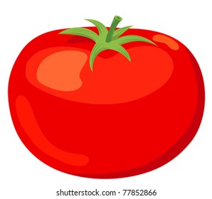 The tomato. Vector illustration. Isolated on white background.