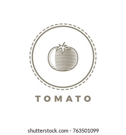 Tomato. vector illustration of label or vintage logo concept.