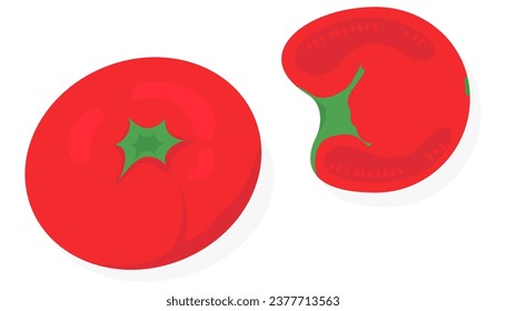 Ilustración del vector del tomate sobre fondo blanco