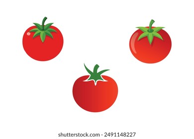 tomato vector illustration on white 