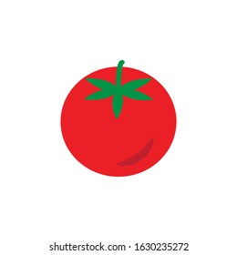 tomato vector illustration template design
