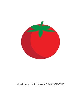 tomato vector illustration template design