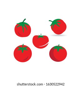 tomato vector illustration template design