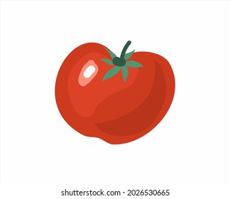 Tomato. Vector illustration. The theme of gardening and agriculture.