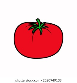 tomato vector illustration. vegetables icon