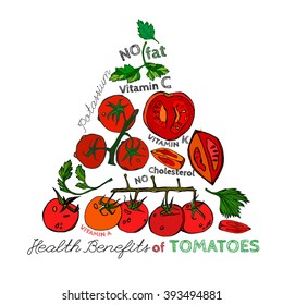 Tomato vector Image