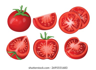 Tomato vector iullustration vegetable food