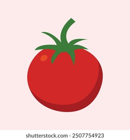 Tomato vector on the red background