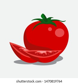 Tomato vector on white background design.  