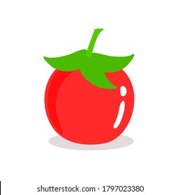 Tomato  vector on white background