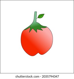 tomato vector on white background