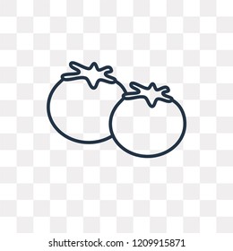 Tomato vector outline icon isolated on transparent background, high quality linear Tomato transparency concept can be used web and mobile