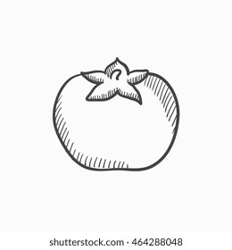 Tomato vector sketch icon isolated on background. Hand drawn Tomato icon. Tomato sketch icon for infographic, website or app.