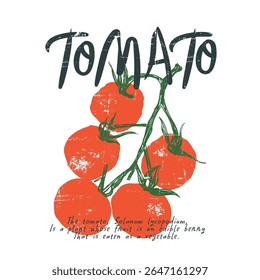 Tomato vegetable artwork for t shirt print, Tomato local farm. tomatoes art. Red tomato vintage t-shirt, women girls graphic tee