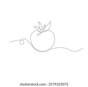 tomato vegetable continuous line drawing.white background,Tomato single line illustration,fresh tomato fruit vegetable line art,abstract red shaped single line tomato icon,