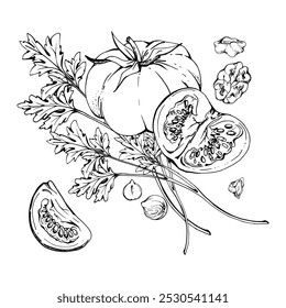 Tomato vegetable, coriander parsley herb, nuts diet and healthy lifestyle, salad vegan cooking. Hand drawn vector ink. Illustration composition isolated on white background. Design print, card, menu