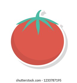 tomato vegetable food 