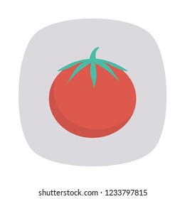 Tomato vegetable,   food 