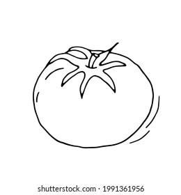 Tomato. Vegetable. Healthy diet. Vitamins. Vegetarian food. Eco. Harvest from the garden. Doodle. Vector. Hand-drawn illustration. Silhouette. Black and white outline. Coloring.