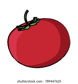 tomato vegetable icon