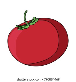 tomato vegetable icon