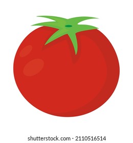 tomato vegetable icon flat isolated