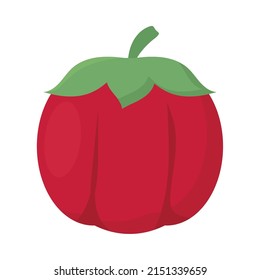 tomato vegetable icon on white background