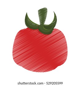 tomato vegetable icon over white background. colorful and sketch design. vector illustration