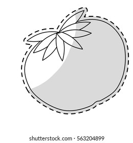 tomato vegetable icon over white background. vector illustration