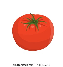 the tomato vegetable icon. vector illustration.