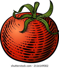 Tomato vegetable illustration in a vintage retro woodcut etching style.