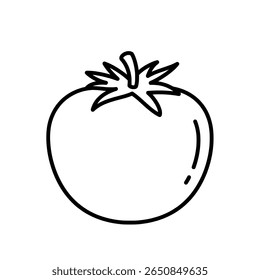 Tomato vegetable line art. Simple hand-drawn food for healthy eating concept.