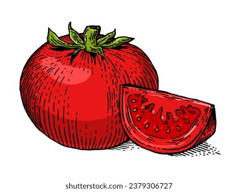 Esbozo de arte de la línea de verduras de tomate grabando el color de la ilustración vectorial dibujada a mano. Diseño de impresión de ropa de camiseta. Imitación de tablero de raquetas. Imagen dibujada a mano en blanco y negro.