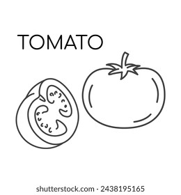 Tomato vegetable line icons illustration