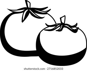 Tomato vegetable mono shadow illustration