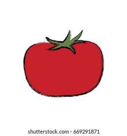 tomato vegetable nutrition food fresh product
