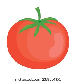 tomato vegetable organic icon isolated