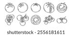 Tomato vegetable sketch doodle hand drawn icon set. Outline drawing fresh tomato line clipart symbol. Vector illustration