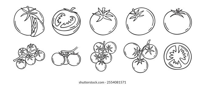 Tomato vegetable sketch doodle hand drawn icon set. Outline drawing fresh tomato line clipart symbol. Vector illustration